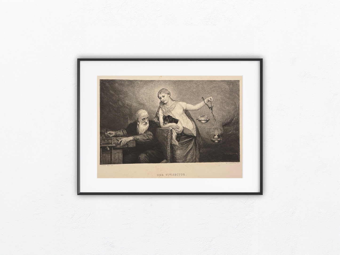 Original Der Vivisektor Tafel 1880 Allegorische Lithografie