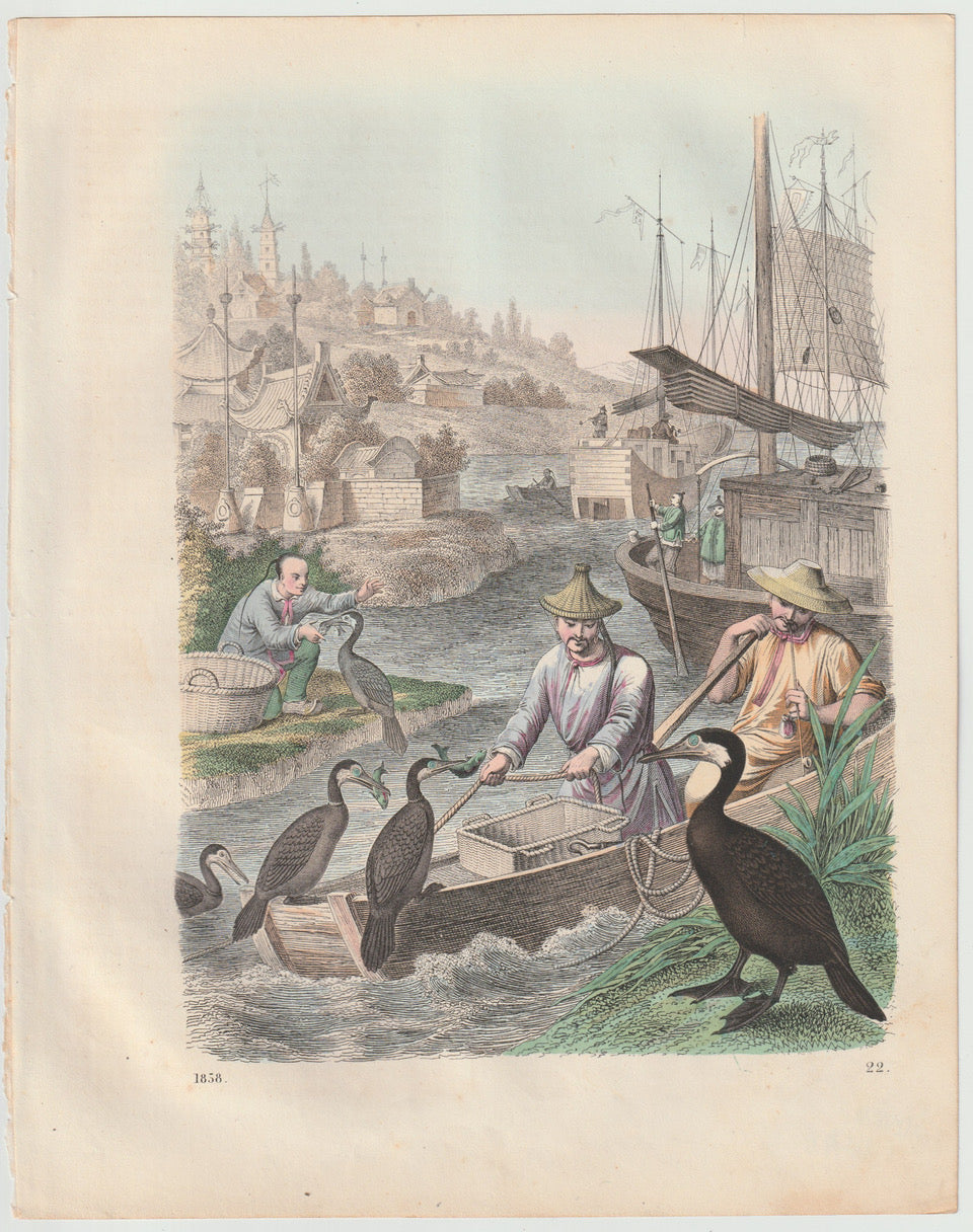 Original Kormoranfischerei 1858 Komorane Jagen