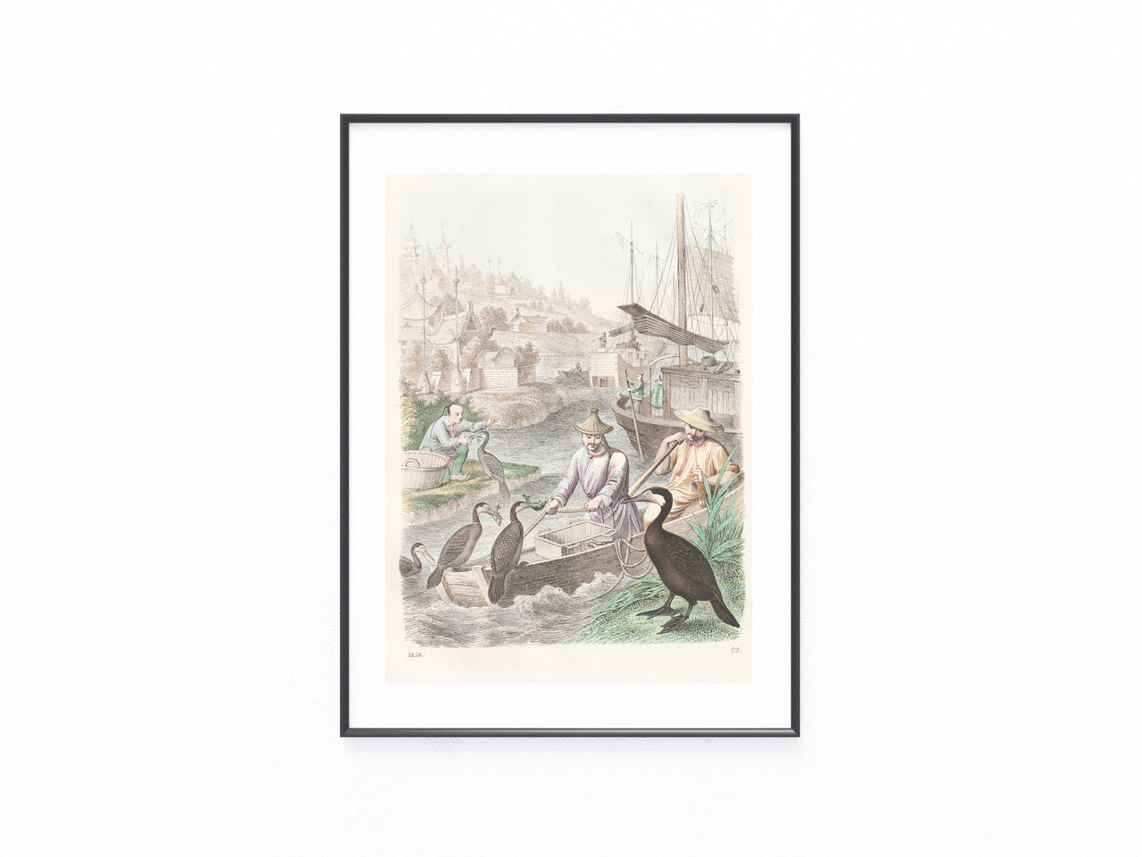 Original Kormoranfischerei 1858 Komorane Jagen
