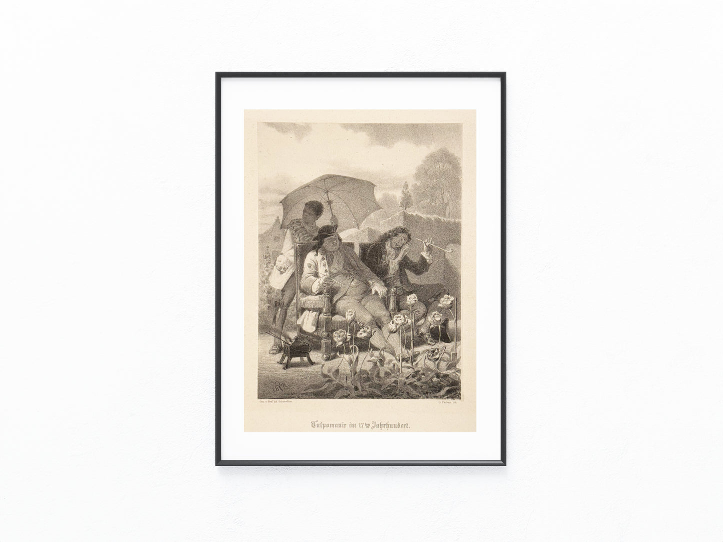 Original Grafik Tulpenmanie | Historischer Kupferstich 1873