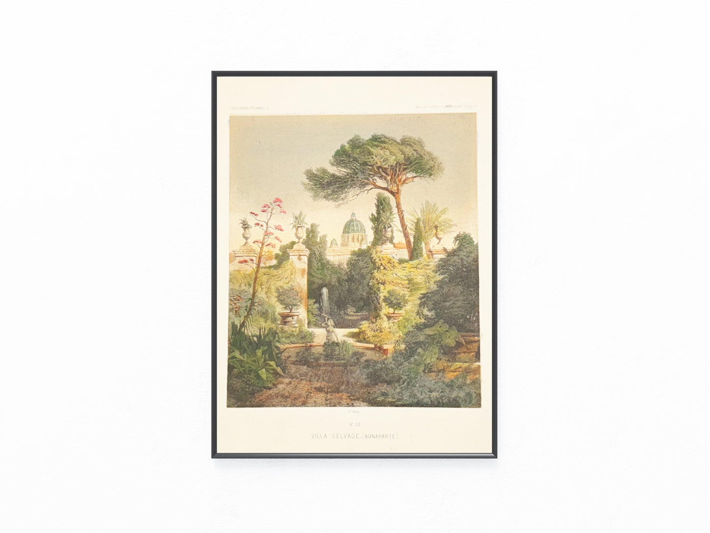 Original Farblithografie 1880 | Villa Selvage Bonaparte in Rom