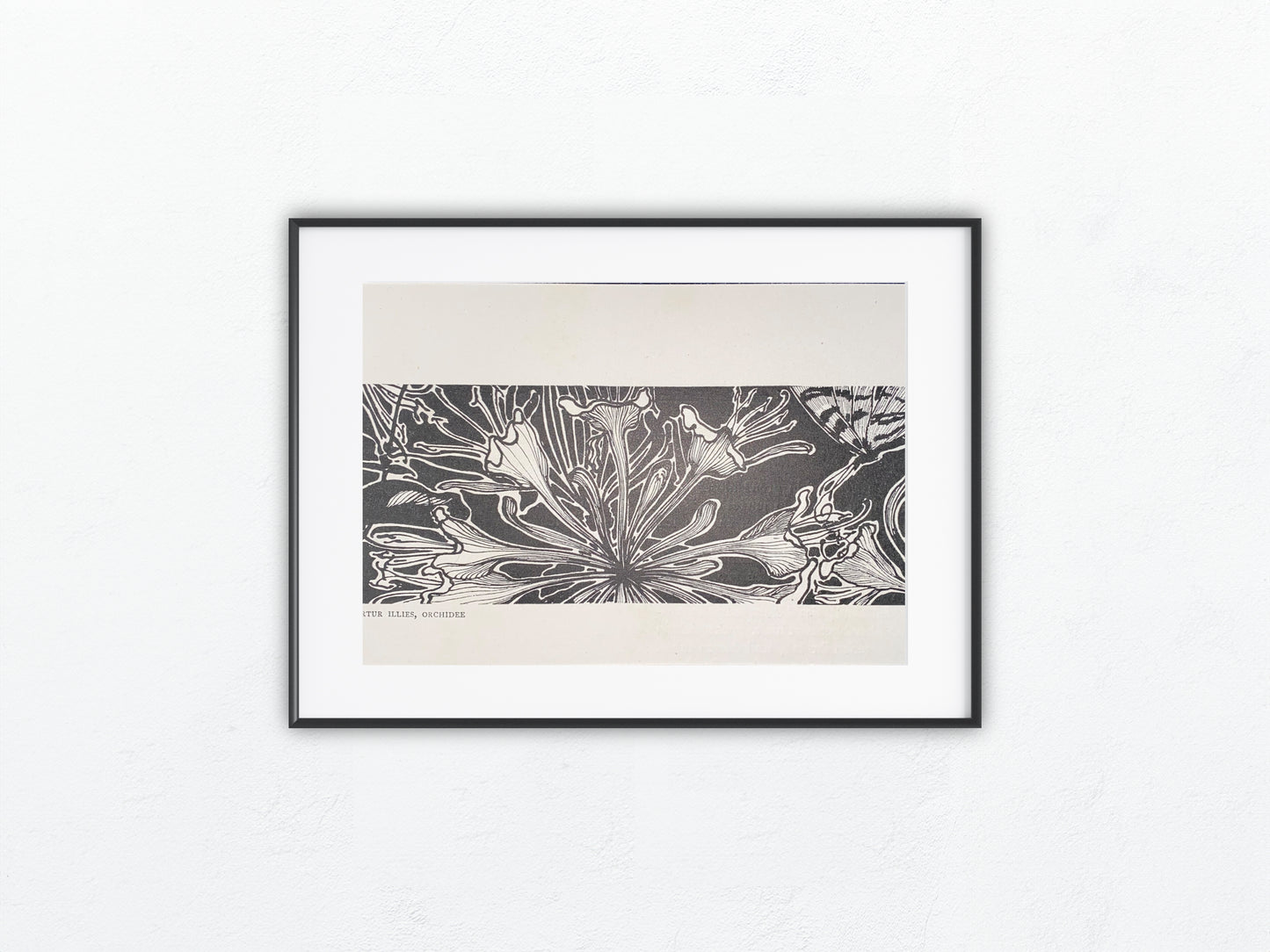 Jugendstil Druck Artur Illies Orchidee 1900 | Blumen Schmetterling | Vintage Art