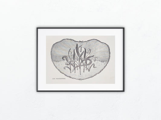 Jugendstildruck Leo Prochownik Florale Ornament Grafik 1905 | Original Art Nouveau