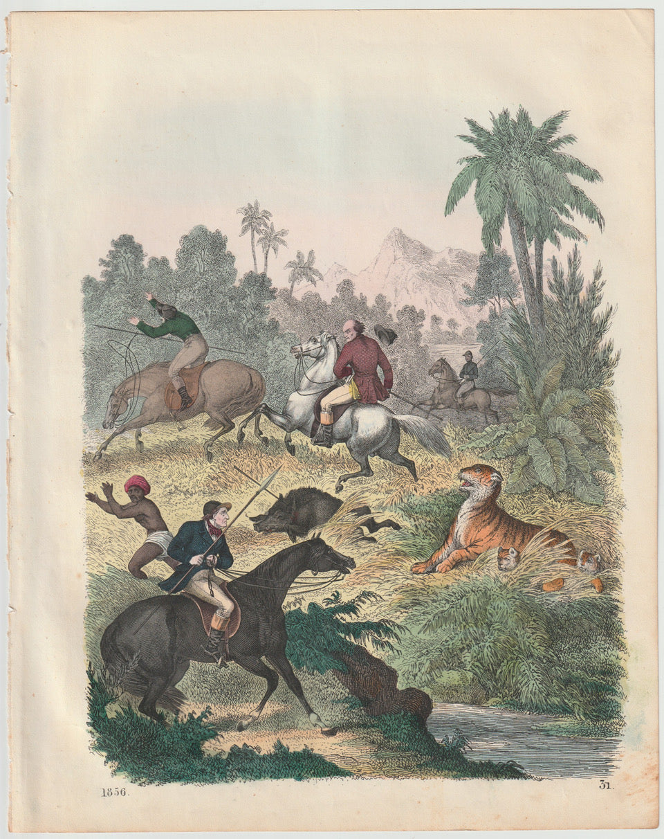 Original Tigerjagd Tafel 1856 Tiger Lithografie