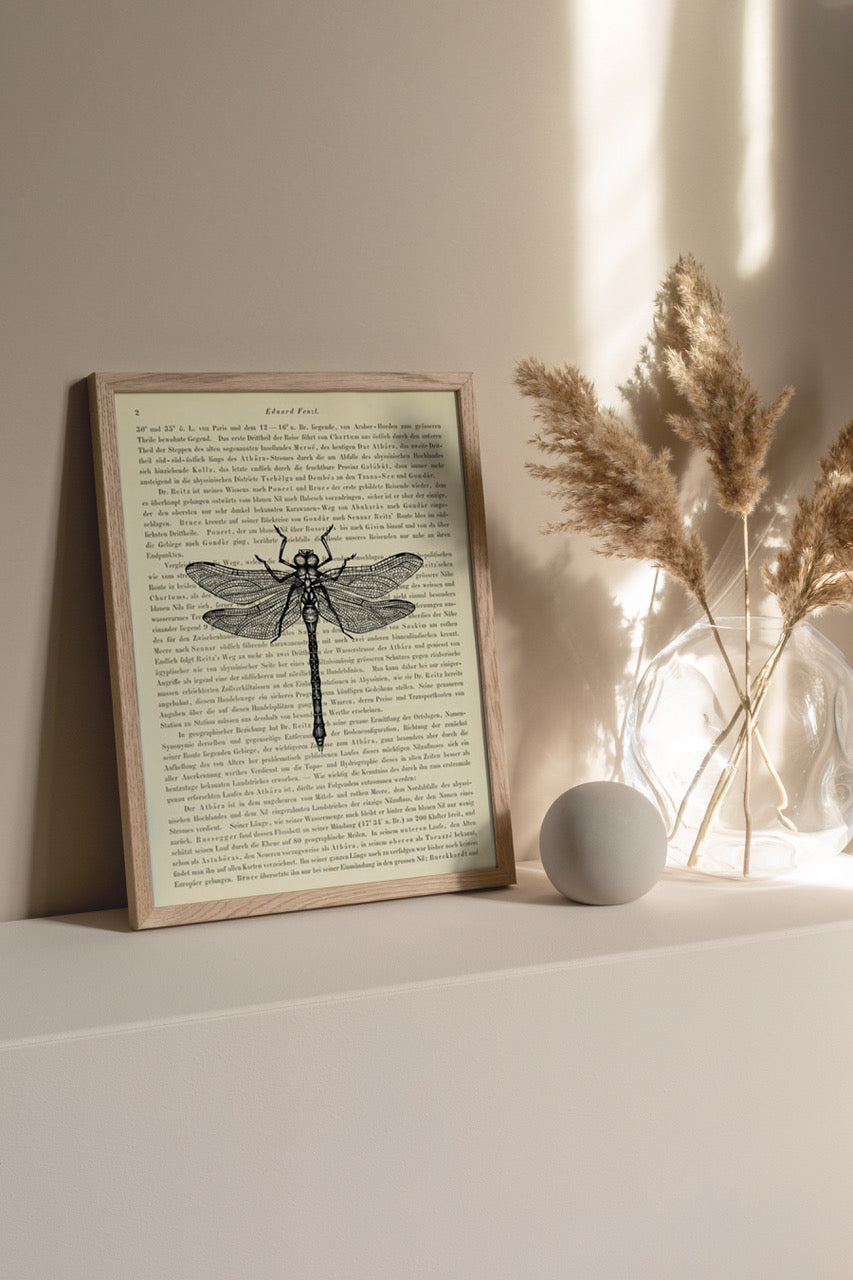 Libelle