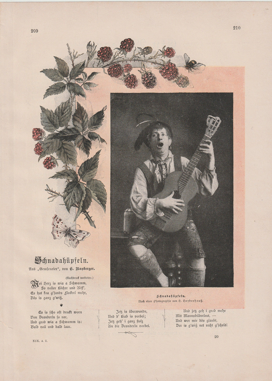 Original Illustration Schnadahüpfln Himbeeren 1890