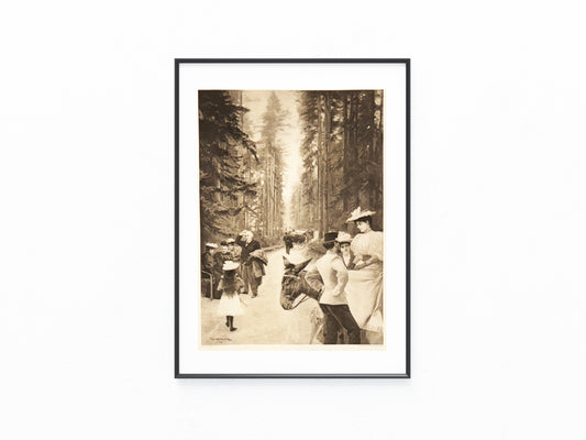 Karlsbad 1890 Original Grafik | Spaziergang und Ausflug Aberg Doubská hora | Kurleben