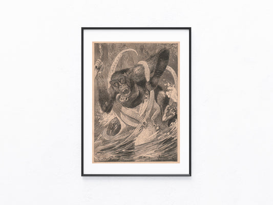 Kampf Gorilla gegen Krake 1890 | Original Illustration