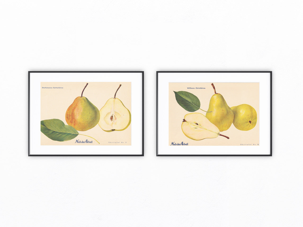 Birne Vintage Obsttafel Duo original 1940