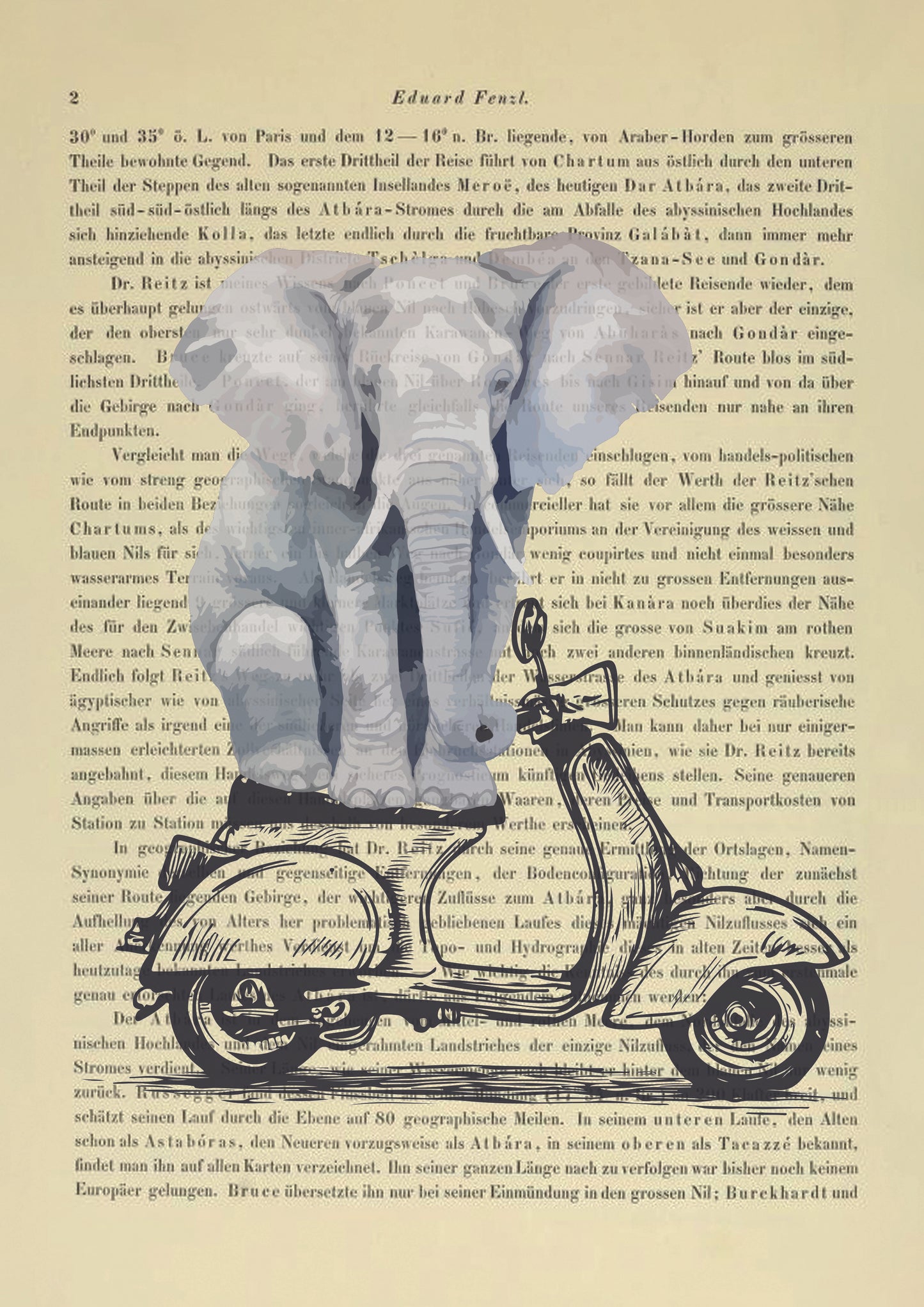 Elephant on tour