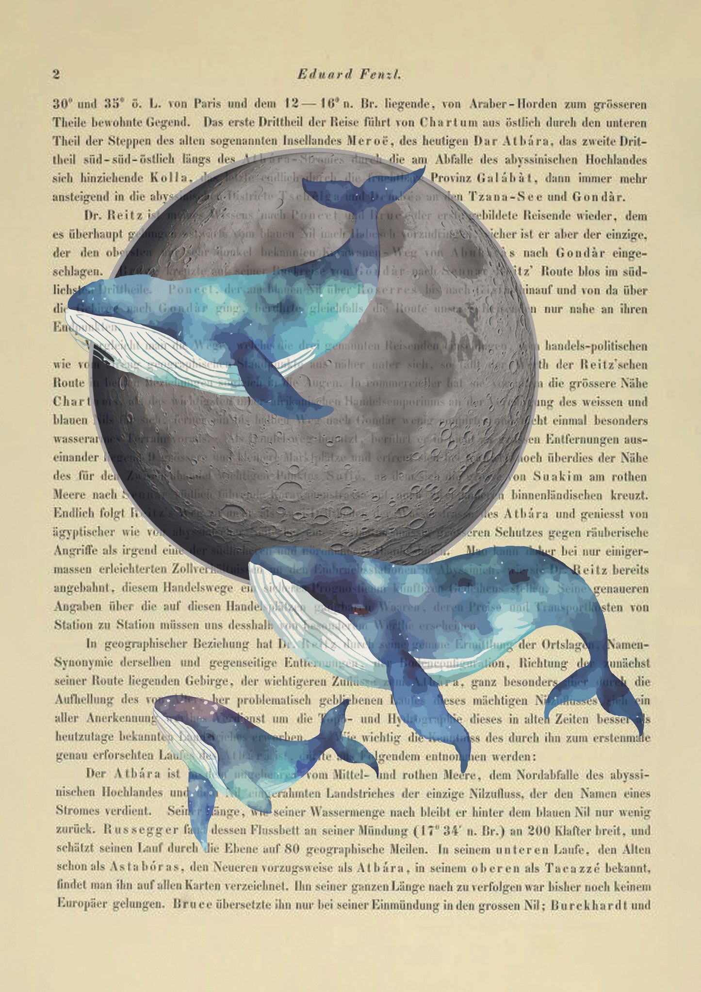 Whale me to the moon