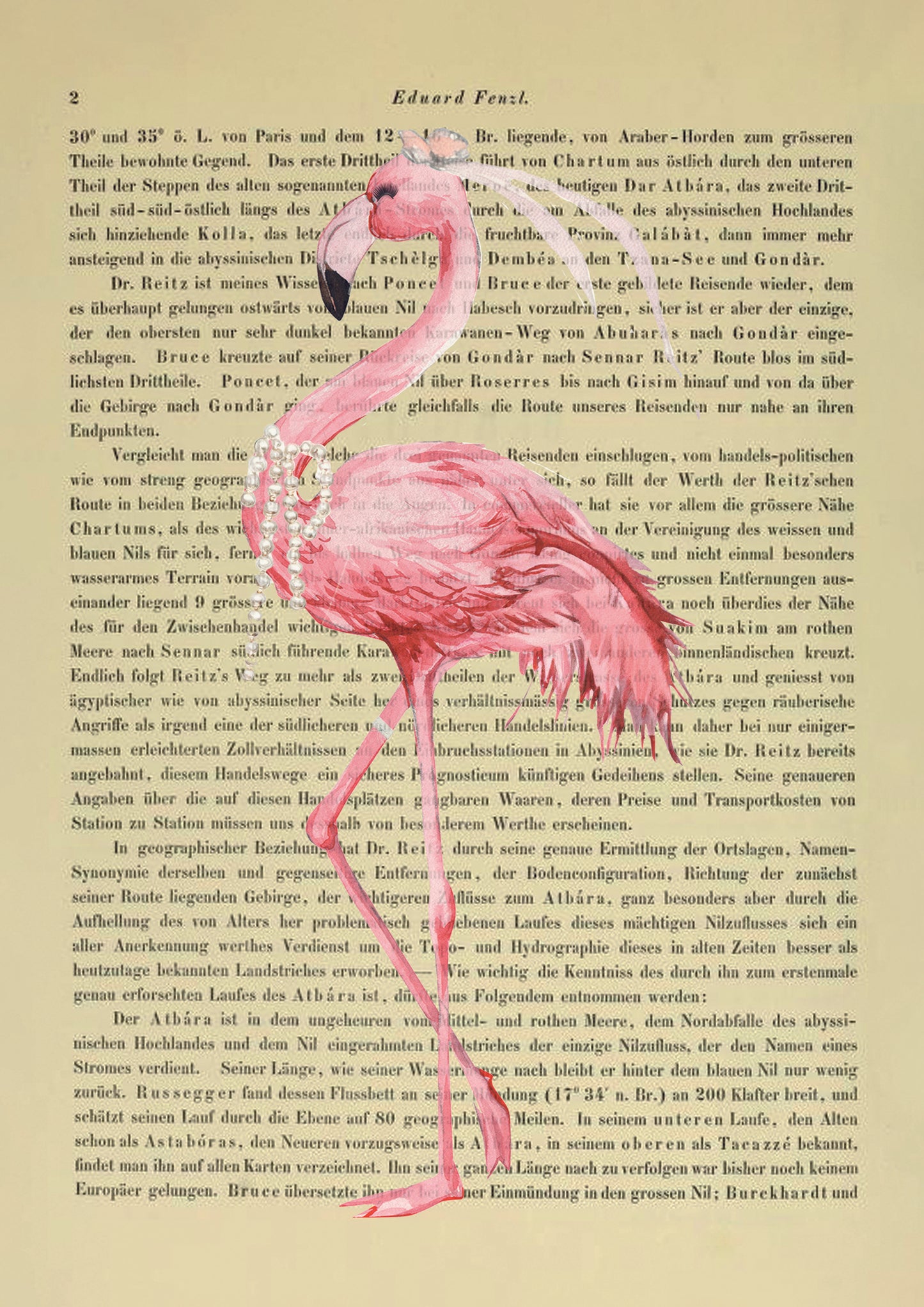 Just married, Flamingo - 2er Kombination