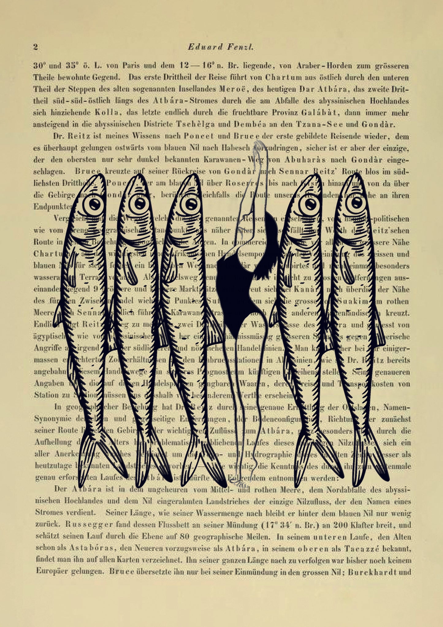 There are plenty of fish in the sea