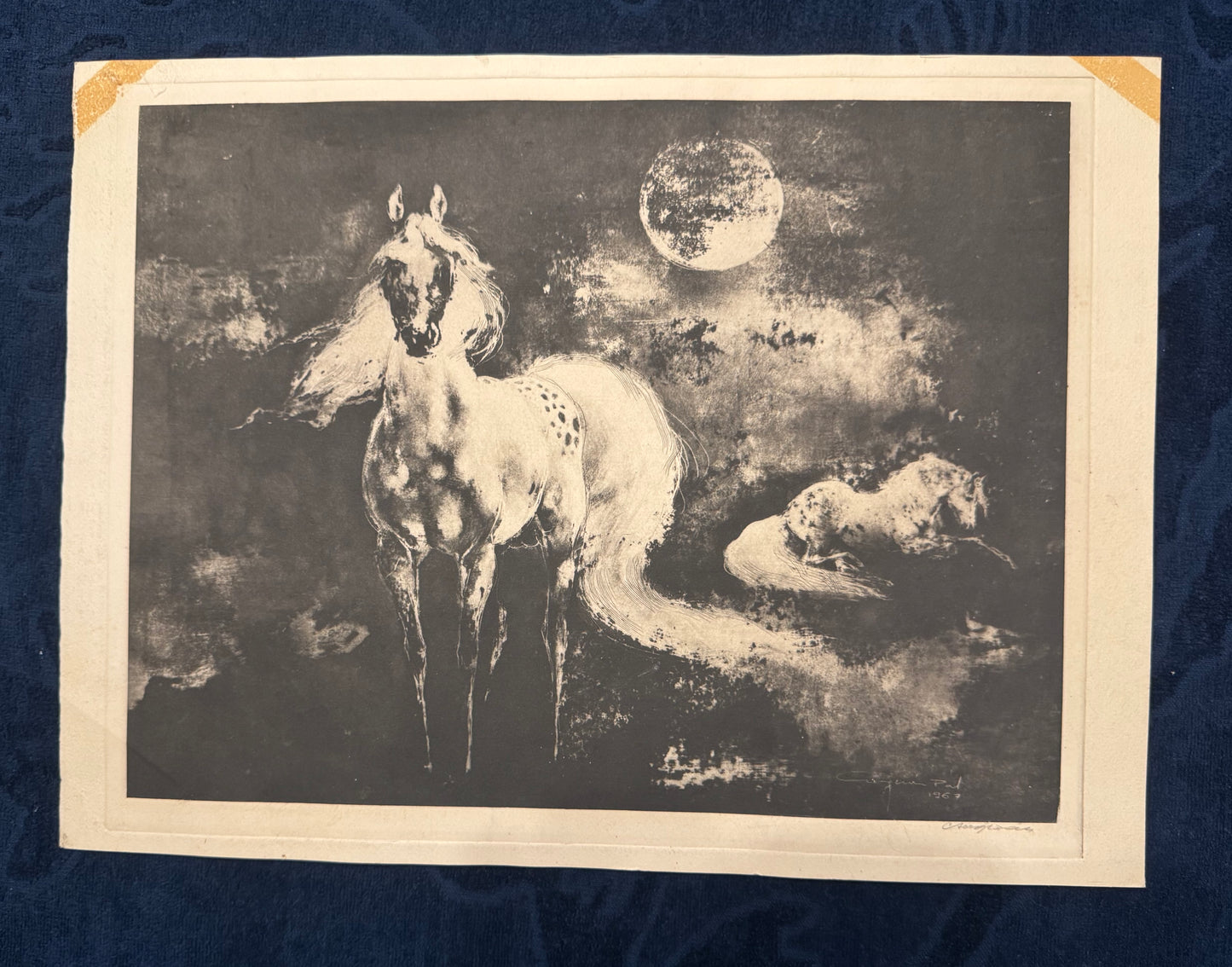 Original Pferde Lithografie Tierdarstellung Schwarze Kunst Mondnacht