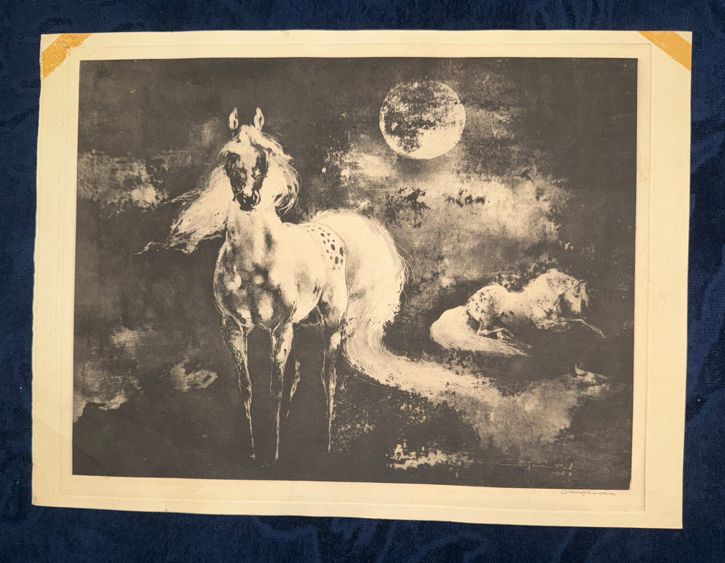 Original Pferde Lithografie Tierdarstellung Schwarze Kunst Mondnacht