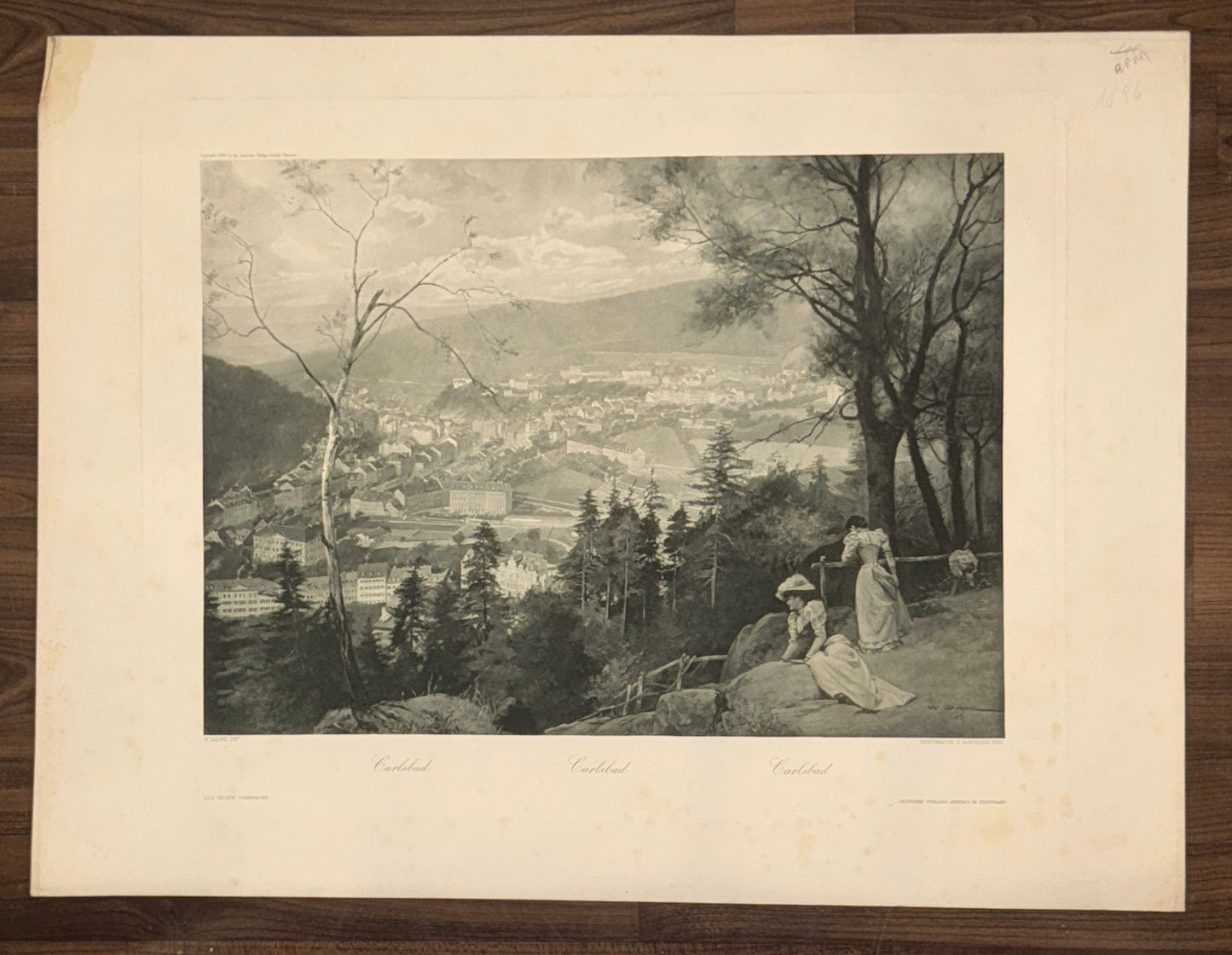 1890 Karlsbad Panorama Blick auf den Kurort | Böhmische Bäderkultur Original