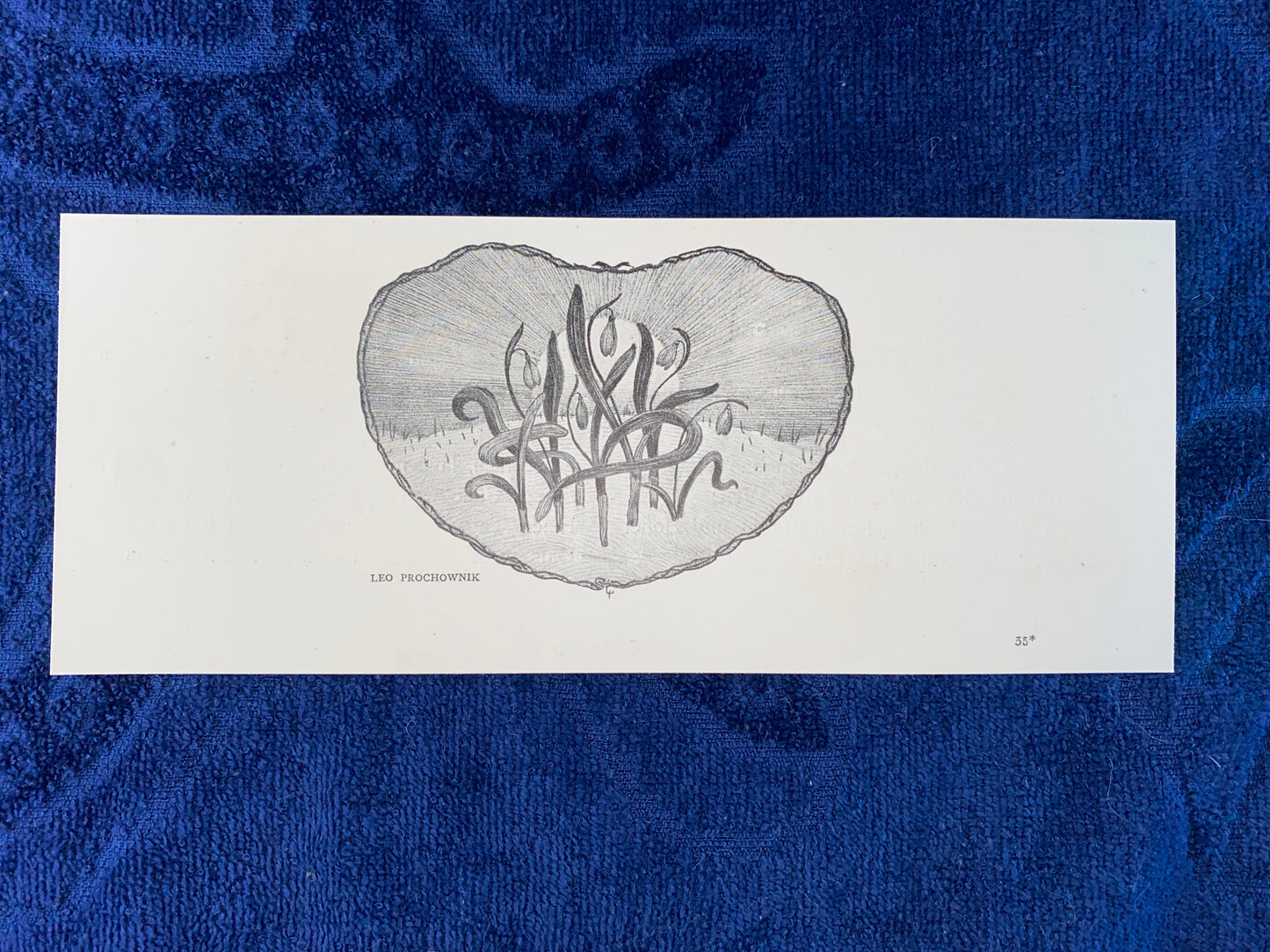 Jugendstildruck Leo Prochownik Florale Ornament Grafik 1905 | Original Art Nouveau