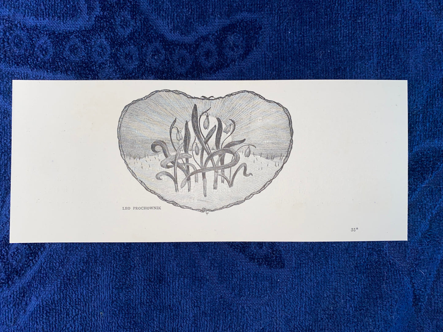 Jugendstildruck Leo Prochownik Florale Ornament Grafik 1905 | Original Art Nouveau