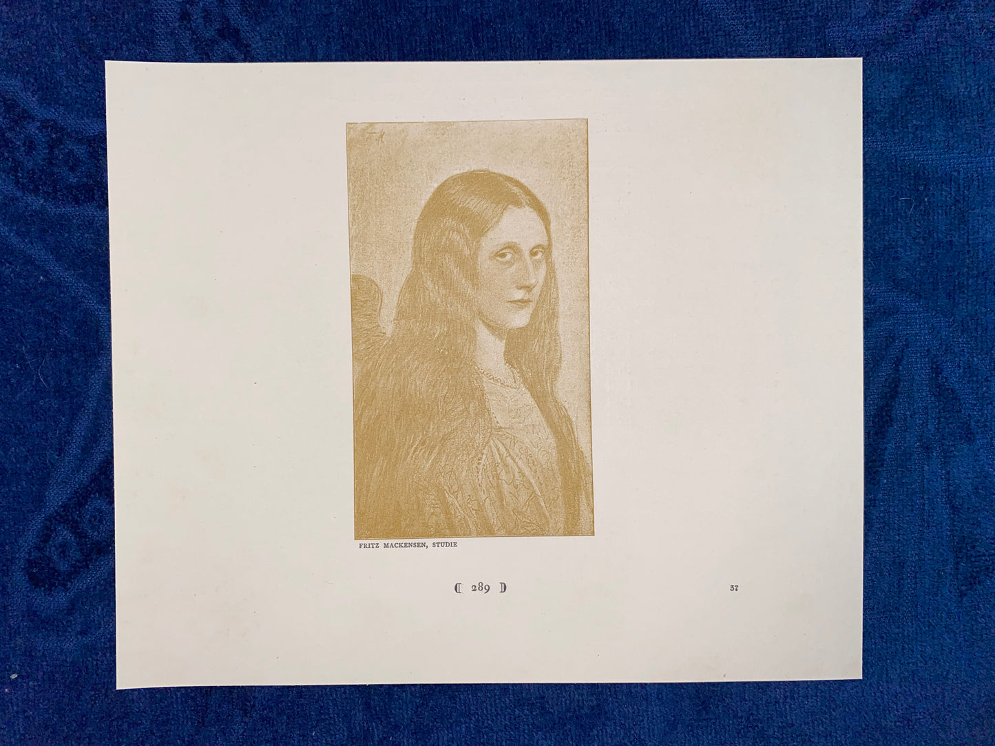 Jugendstildruck Fritz Mackensen Studie um 1900 | Original Porträt Grafik Worpswede