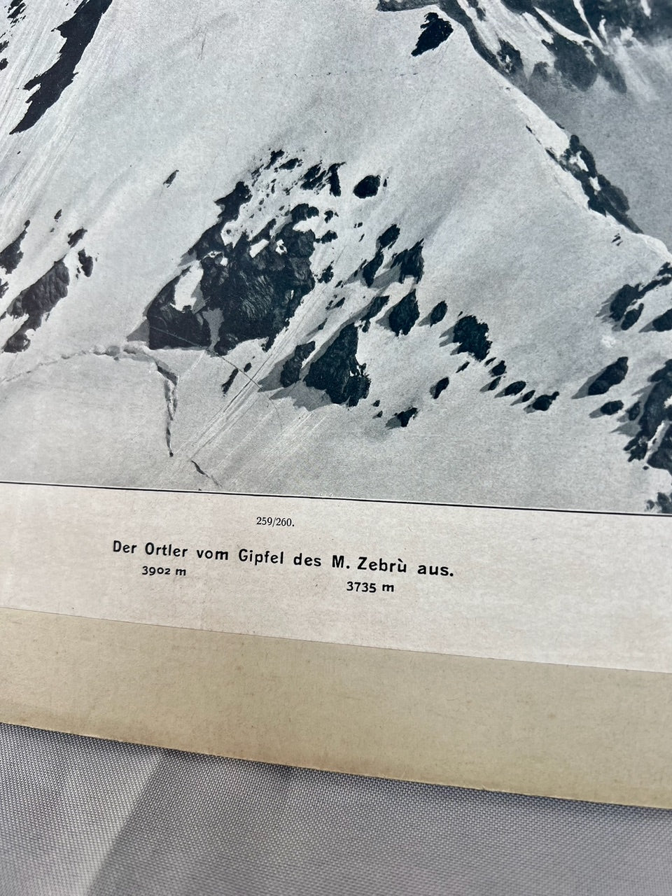 Ortler vom Gipfel des M. Zebrù 1910