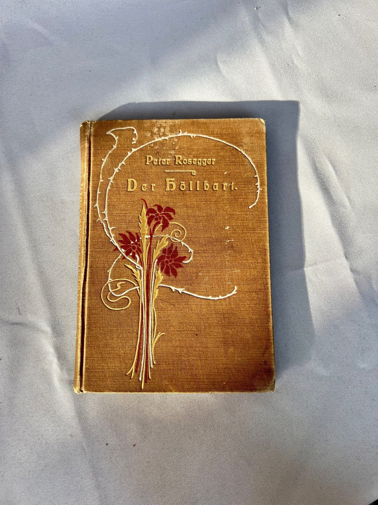 Rosegger: Der Höllbart 1895