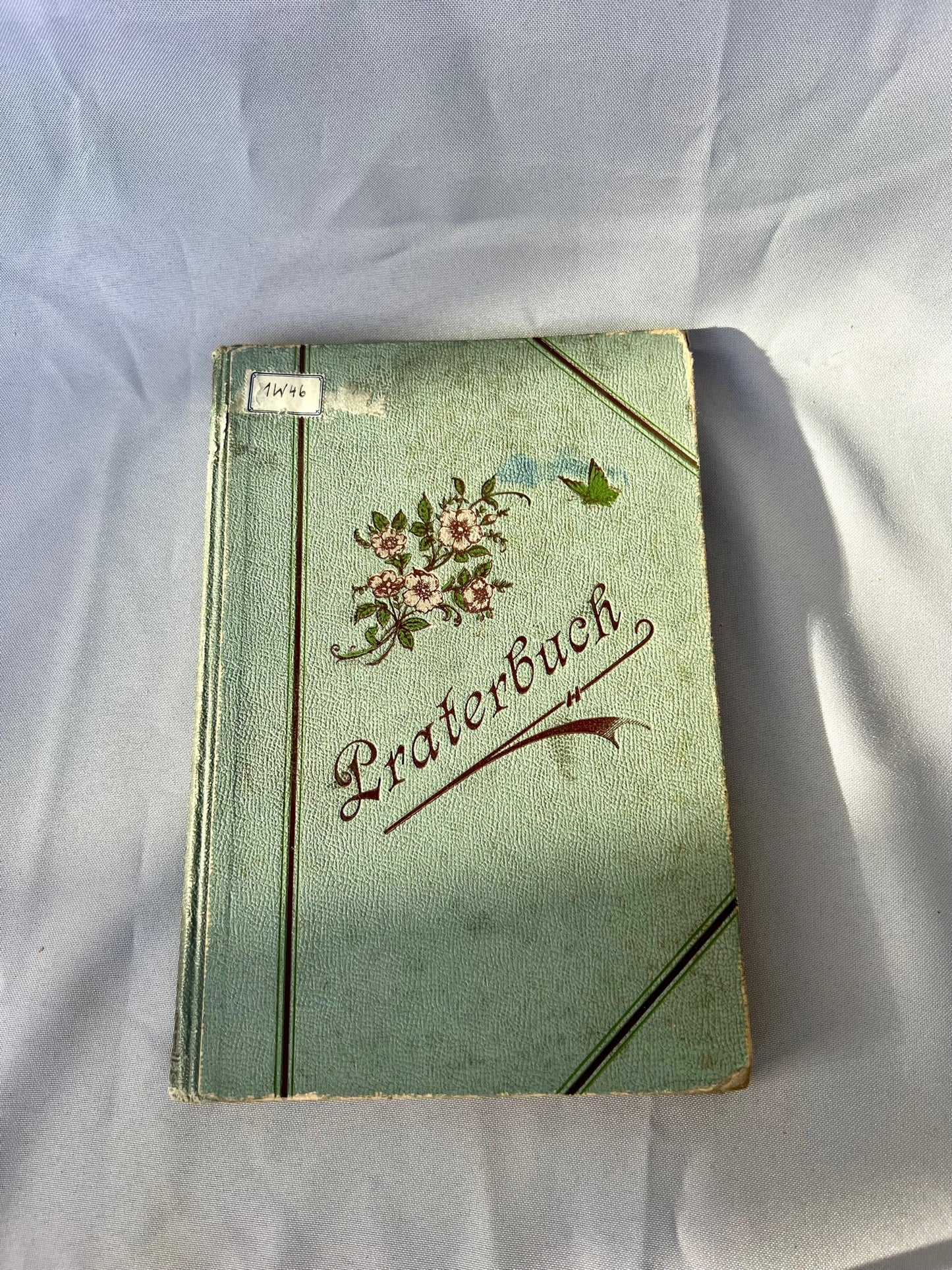 Witlaczil: Praterbuch Naturleben 1897