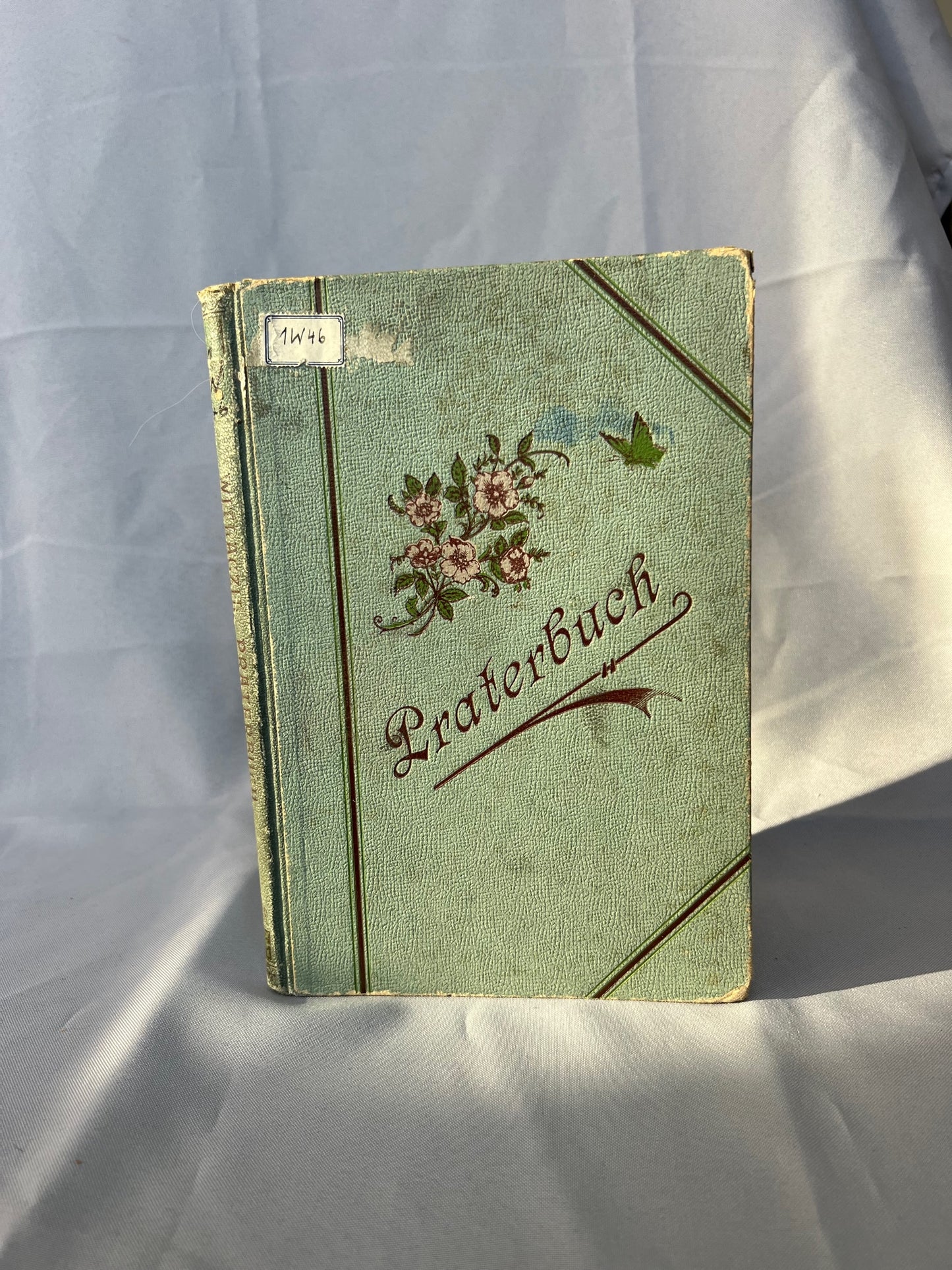 Witlaczil: Praterbuch Naturleben 1897
