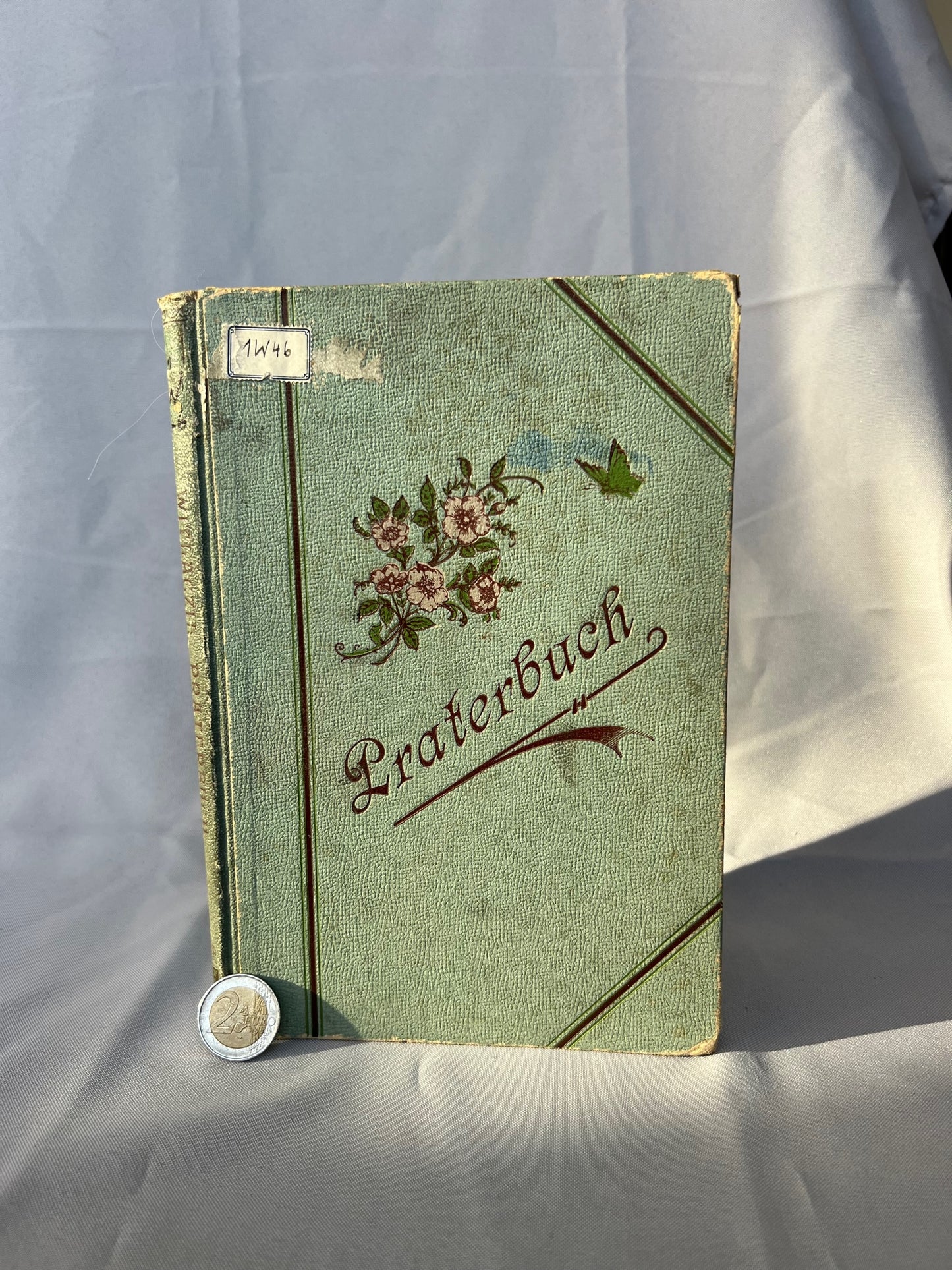 Witlaczil: Praterbuch Naturleben 1897