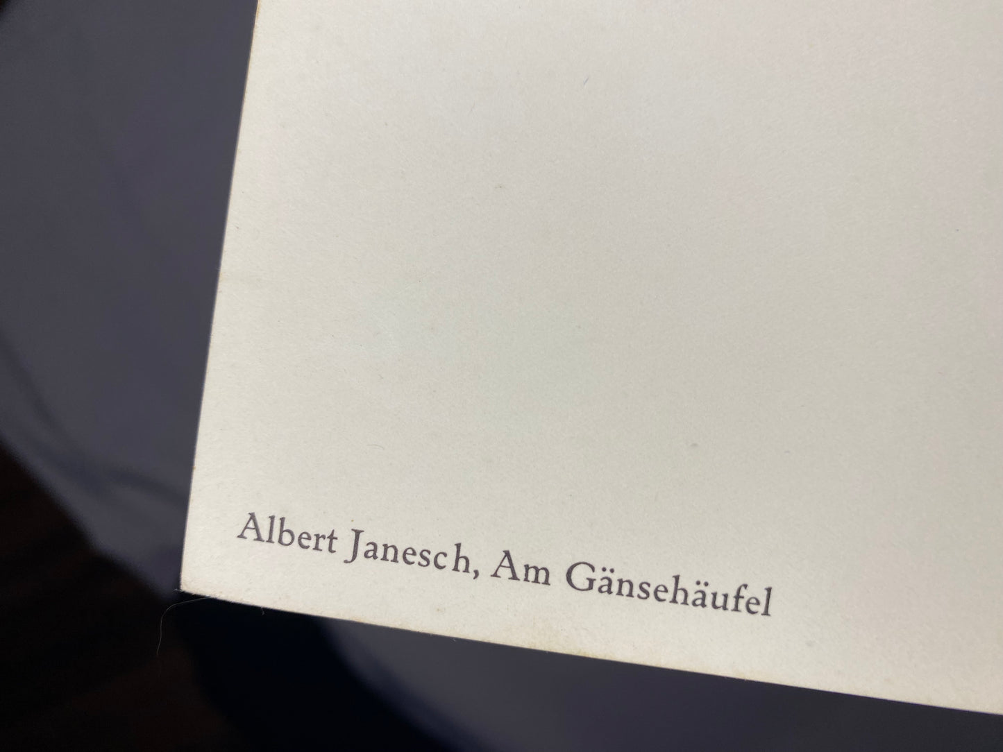 Wien Gänsehäufel 1930 Original Farblithografie | Janesch Baden Sommer Freizeit Schwimmbad