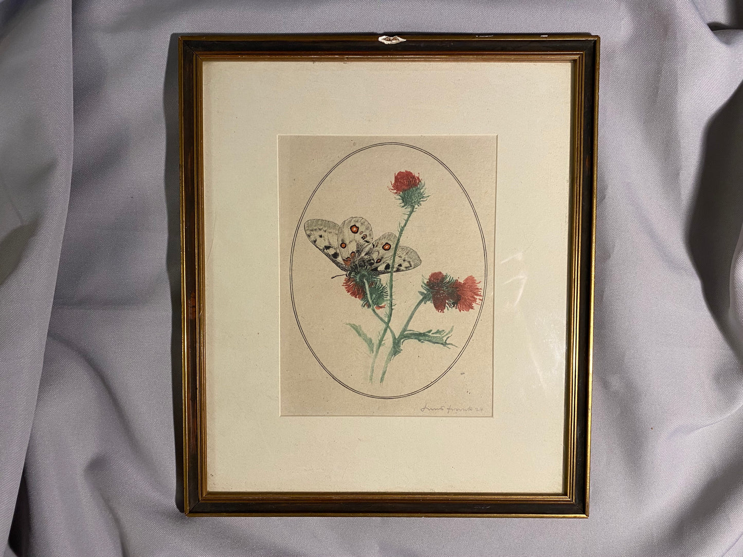 Schmetterling auf Distel signierte Grafik 1924