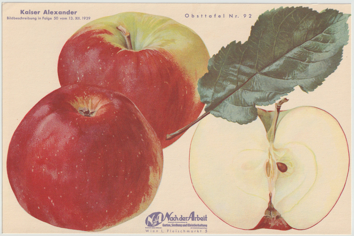 1940 Äfpel Vintage Obsttafel 4er-Set original | Wanddeko Apfel Obst Früchte Küchenapfel