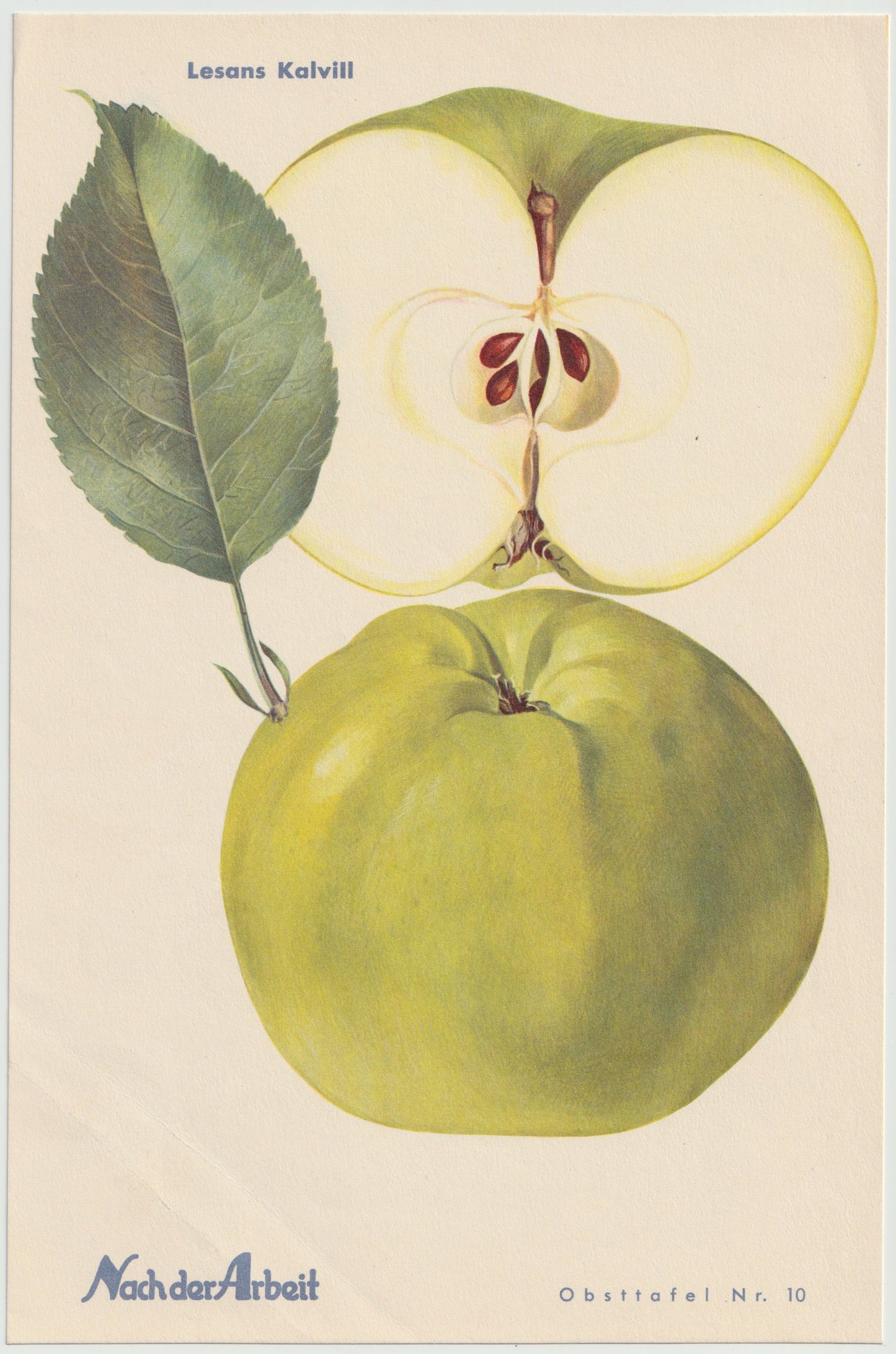 Apfel Vintage Obsttafel 4er-Set 1940er Wanddeko | Gloria Mundi Kalvill