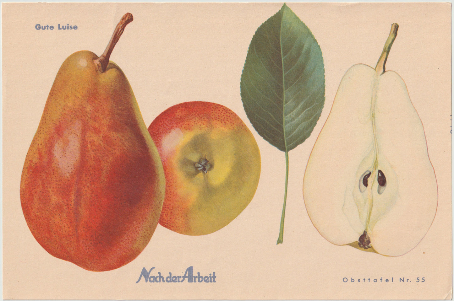 Birnen Vintage Obsttafeln 4er Set 1940 | Minister Lucius, Gute Luise, Abbé Fétel