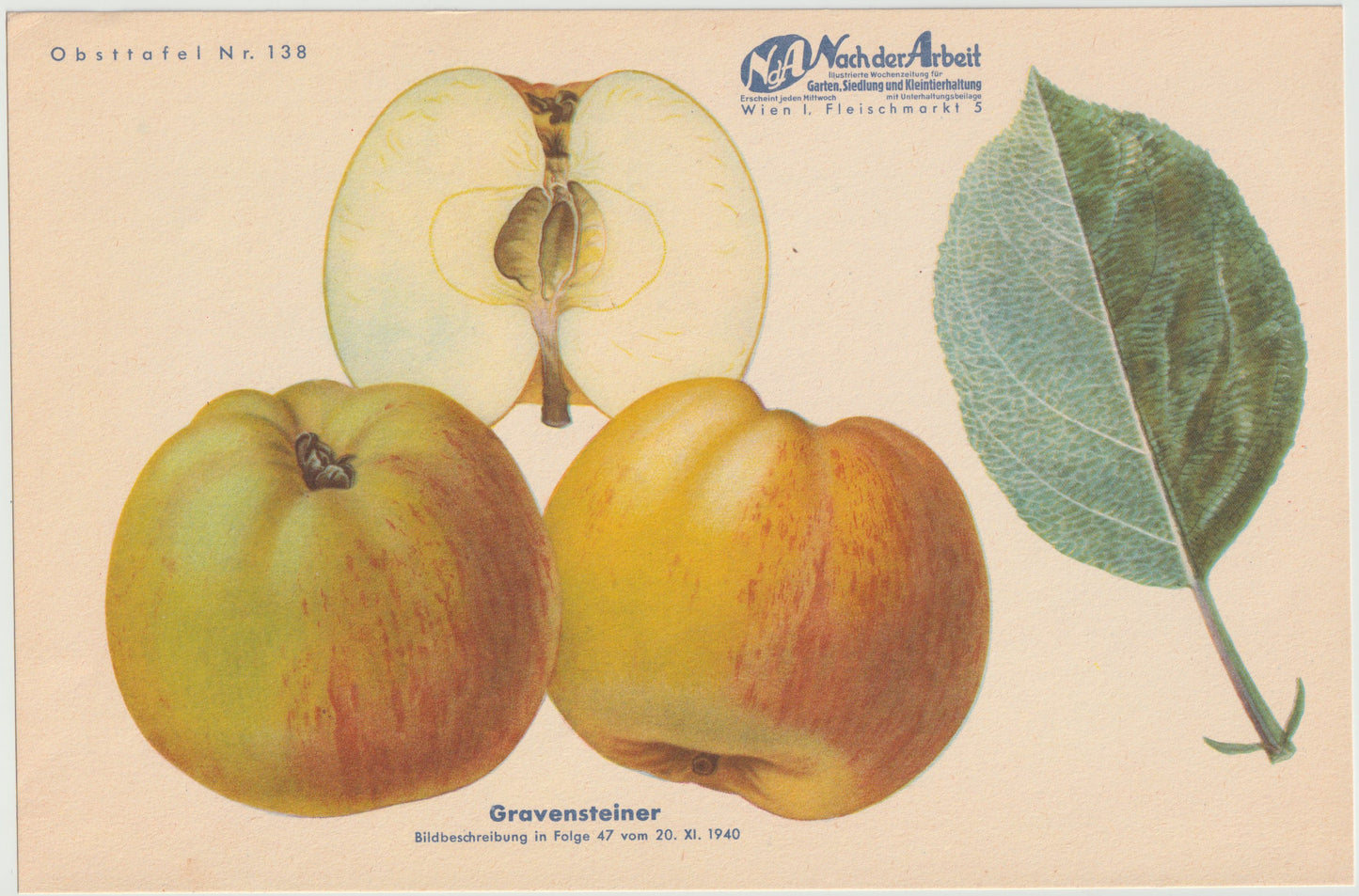 1940 Äfpel Vintage Obsttafel 4er-Set original | Wanddeko Apfel Obst Früchte