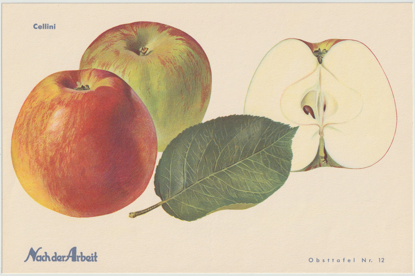1940 Äfpel Vintage Obsttafel 4er-Set original | Wanddeko Apfel Obst Früchte
