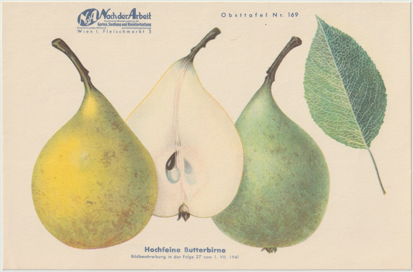 1940 Birnen Vintage Obsttafeln 4er Set original | Napoleons Butterbirne Gräfin von Paris