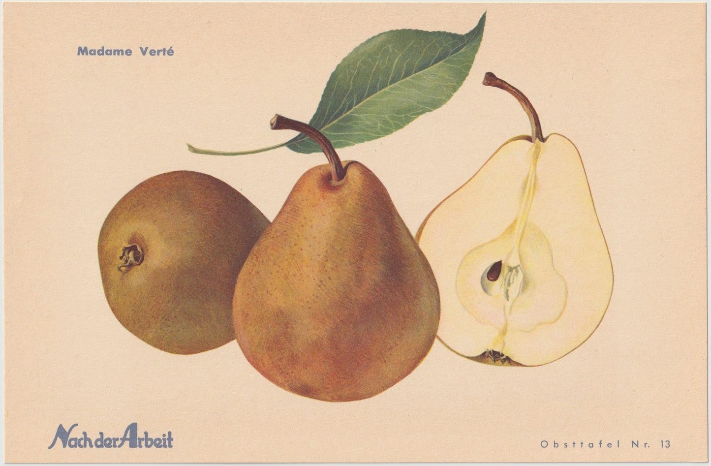 1940 Birnen Vintage Obsttafeln 4er Set original | Flaschenbirne Baronin Mello