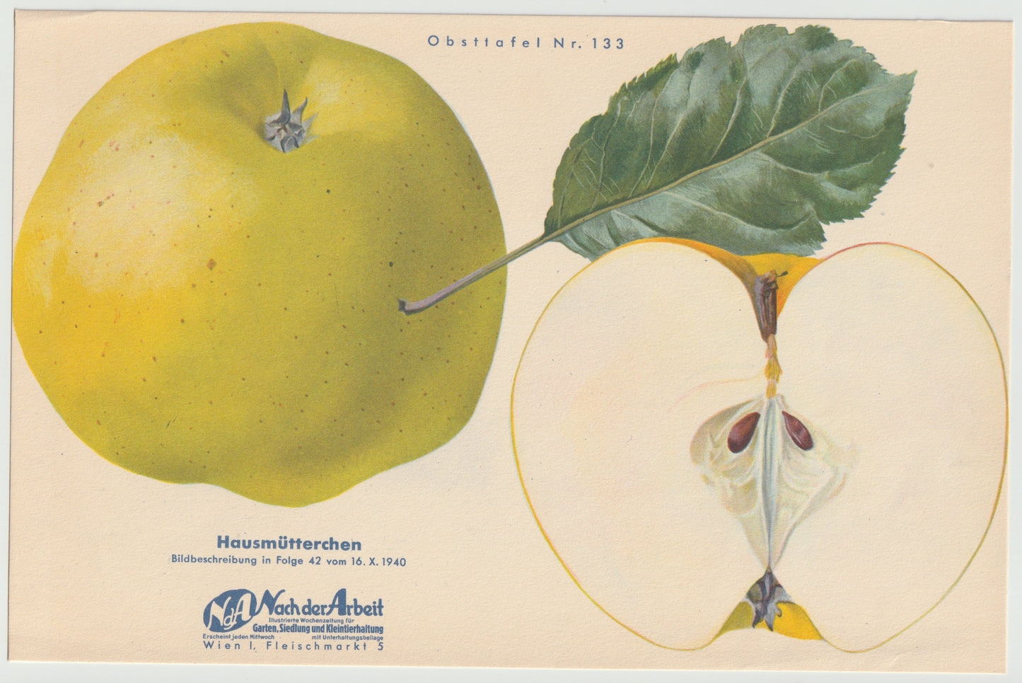 1940 Äfpel Vintage Obsttafel 4er-Set original | Wanddeko Apfel Obst Früchte Küchenapfel