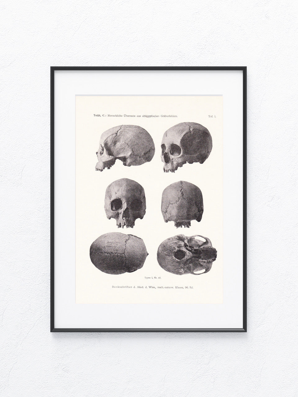 Archäologie 1919