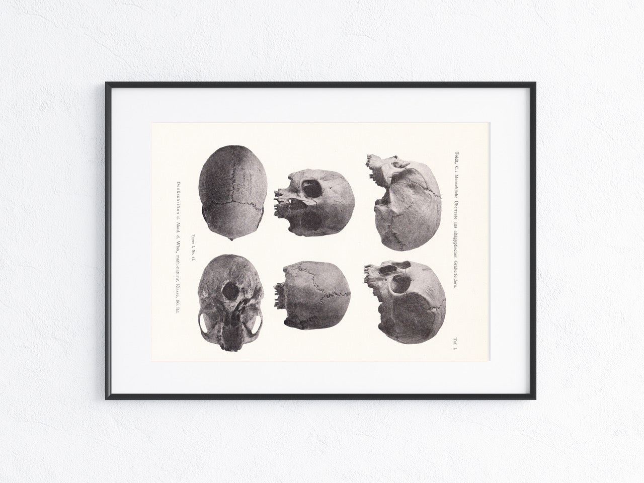 Archäologie 1919