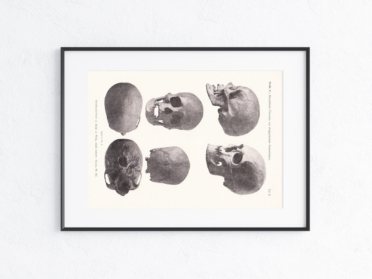 Archäologie 1919