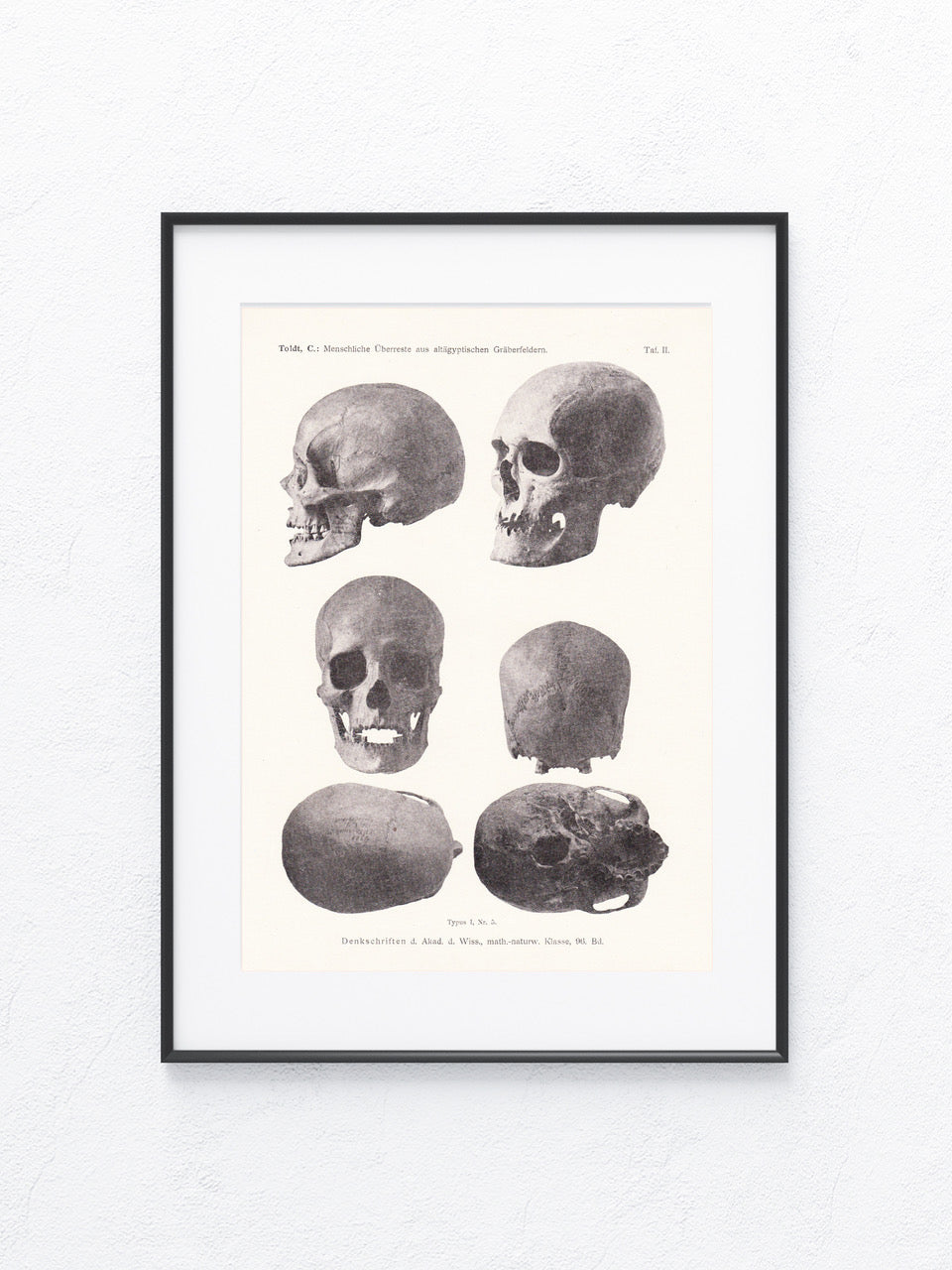Archäologie 1919