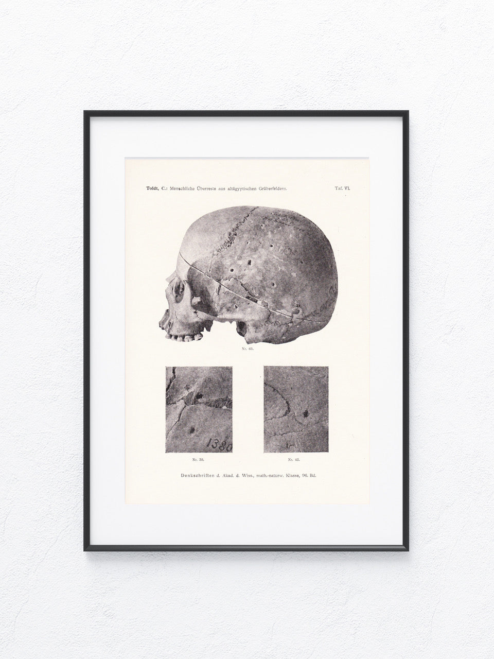 Archäologie 1919