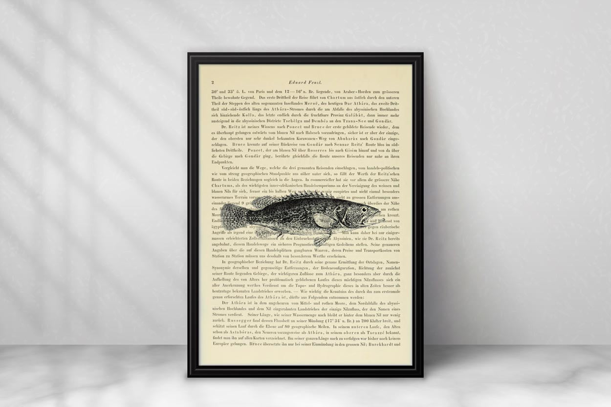 Fisch