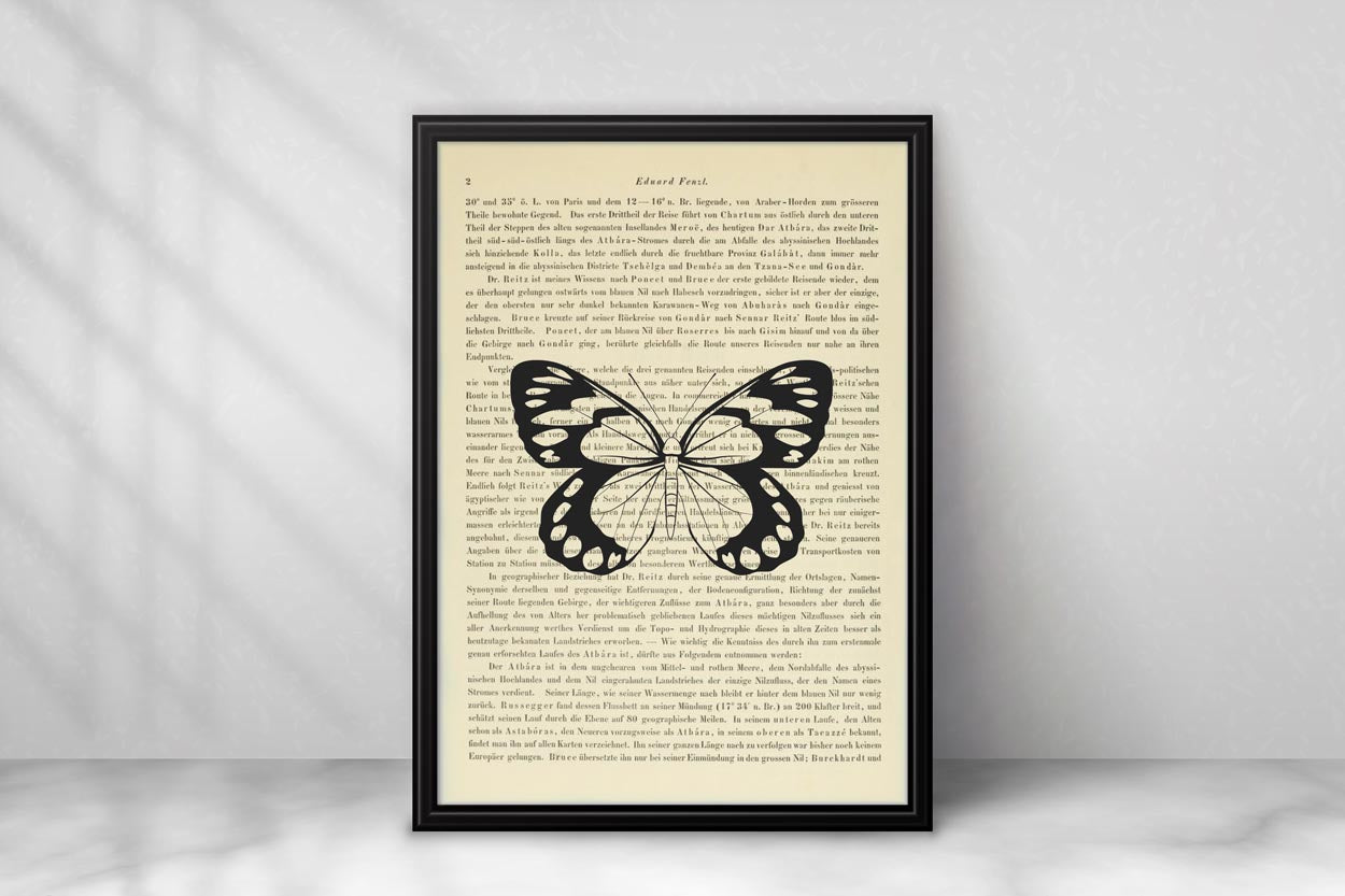 Schmetterling