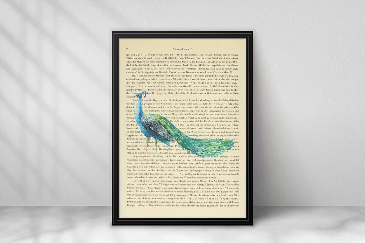 Blauer Pfau