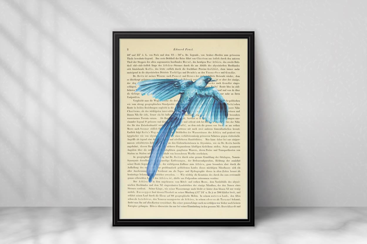 Tropische Vögel Prints - 4er Set