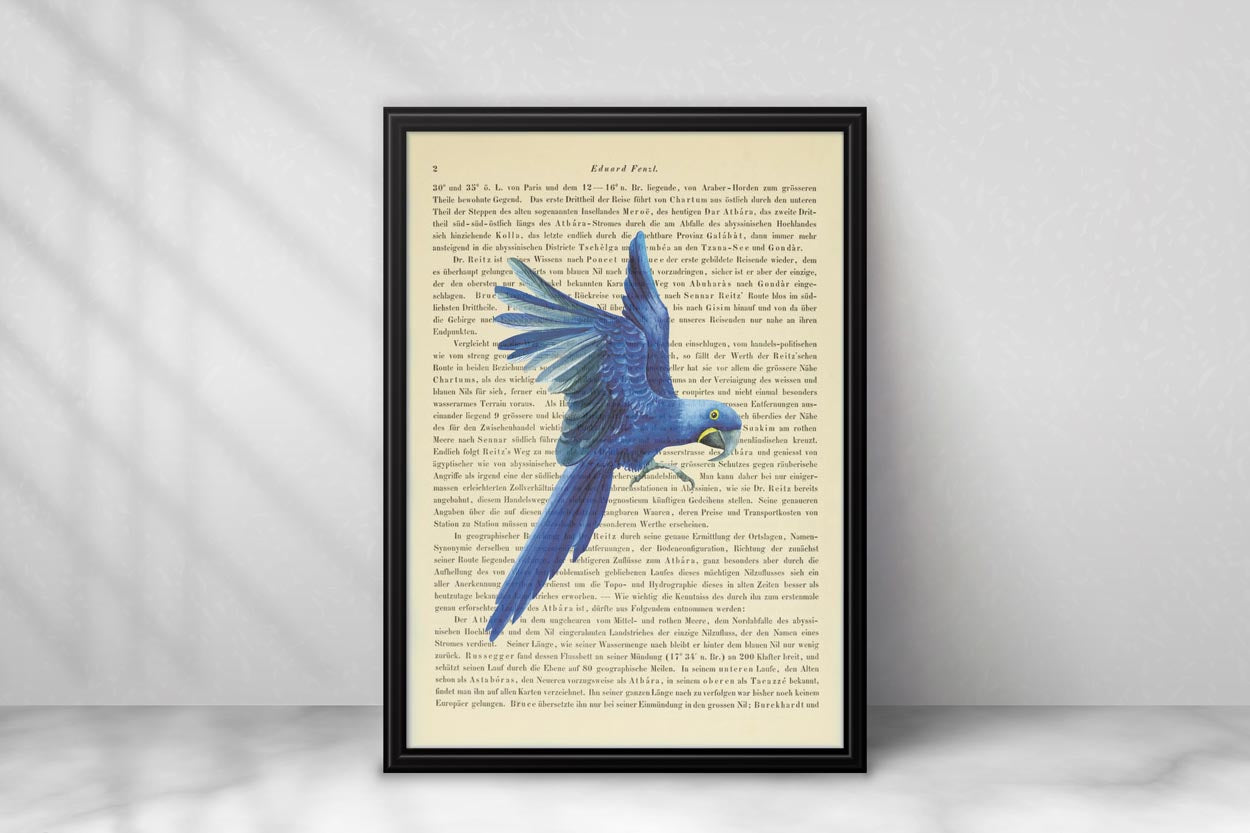 Tropische Vögel Prints - 4er Set