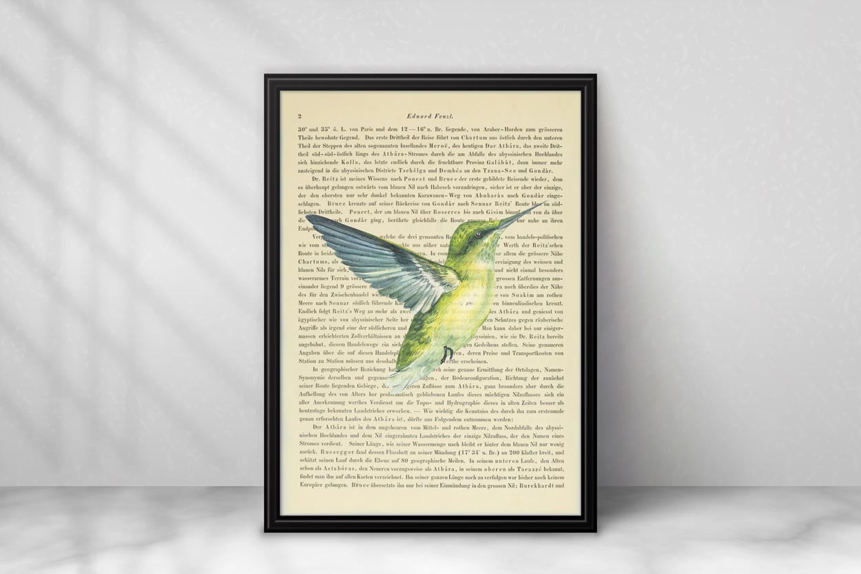 Kolibri