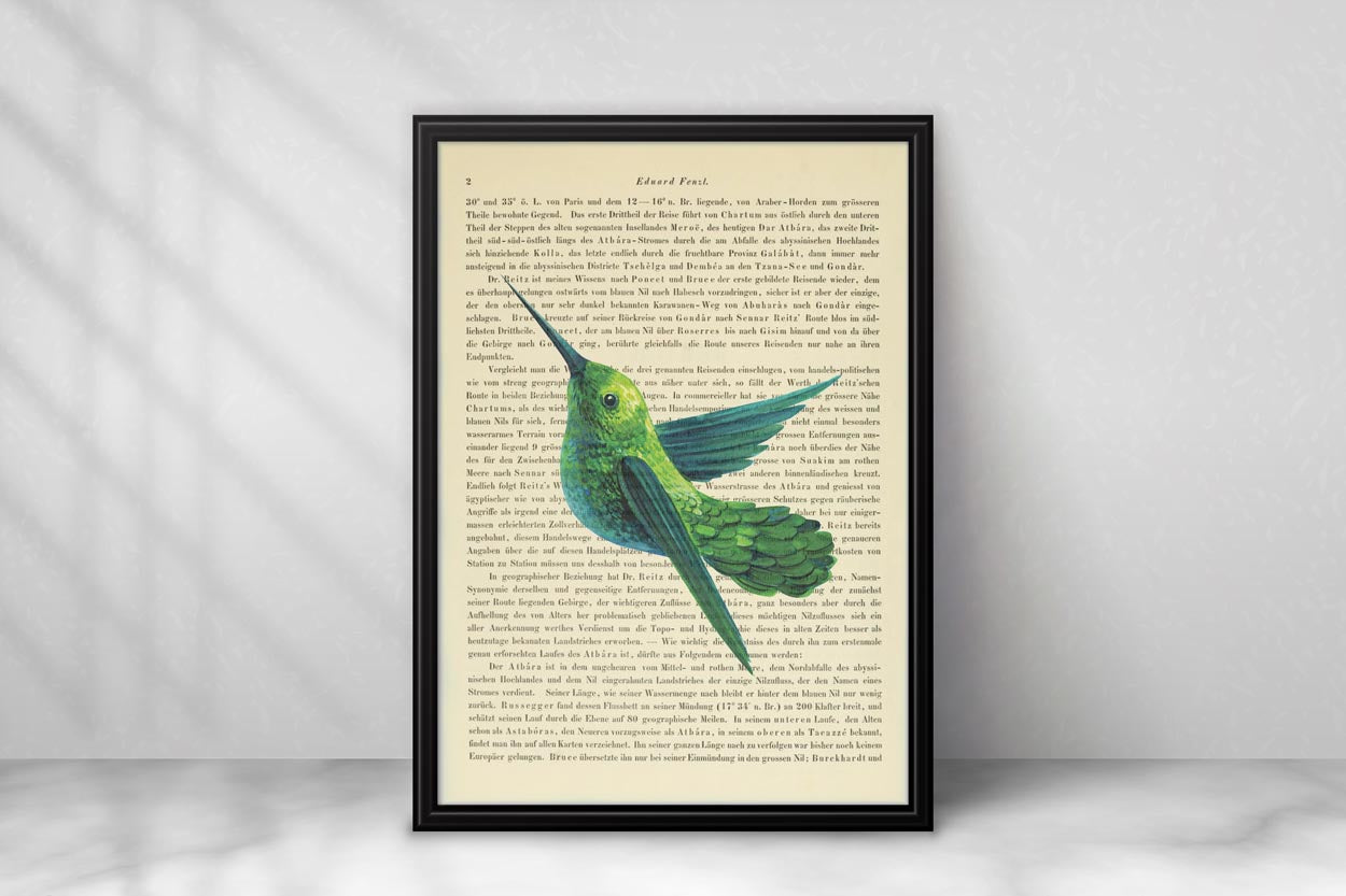 Kolibri